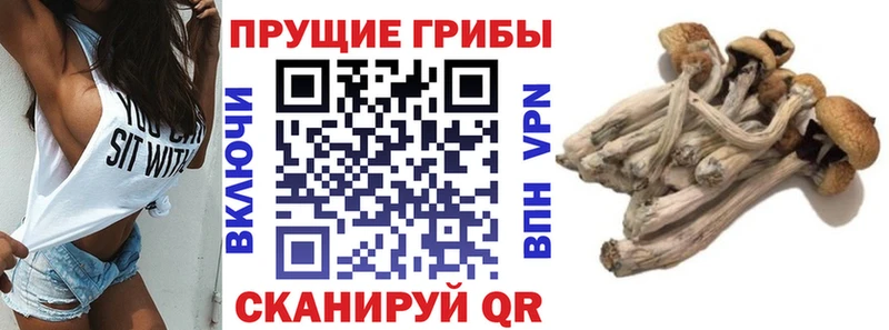 Псилоцибиновые грибы ЛСД  hydra ТОР  Западная Двина 